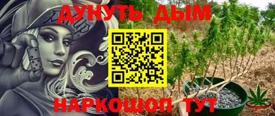 прущие грибы Севастополь