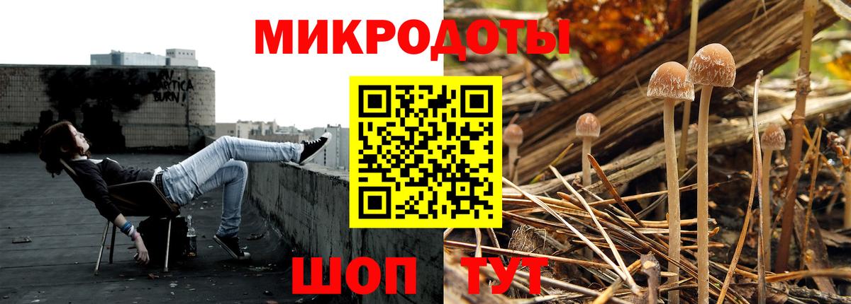 Псилоцибиновые грибы GOLDEN TEACHER  закладка  Славгород  Вход с VPN 
