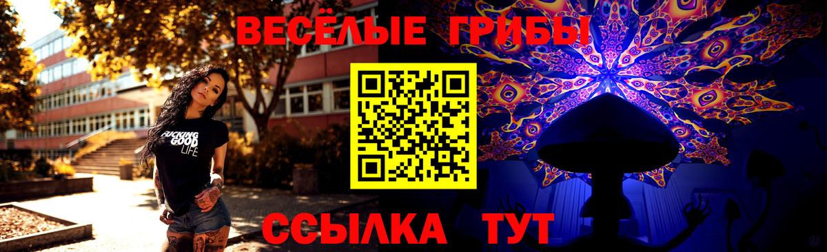 Галлюциногенные грибы Cubensis Славгород