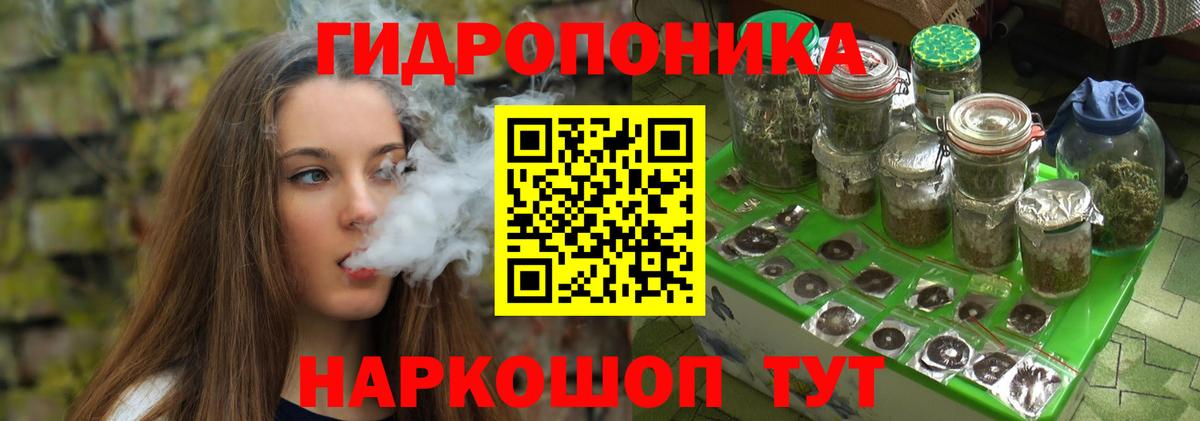 Бошки марихуана марихуана Славгород